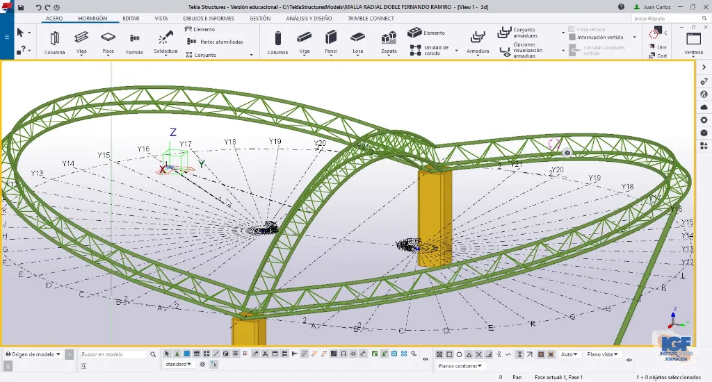 Curso online de Tekla Structures avanzado malla radial - IGF.webp