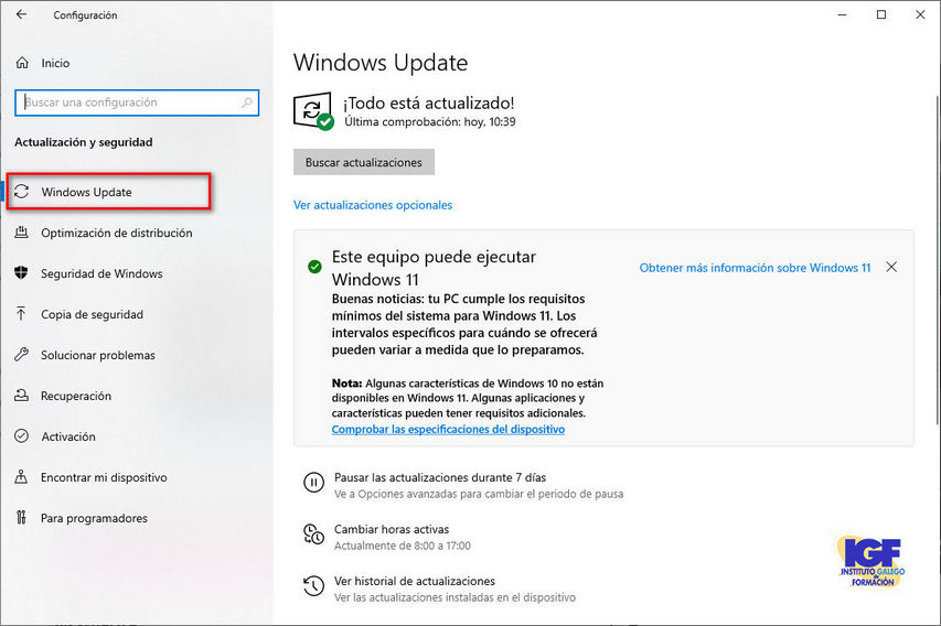 Forzar actualización a Windows 11 - igf.es